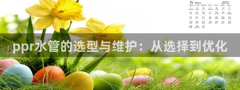 富邦 娱乐 平台