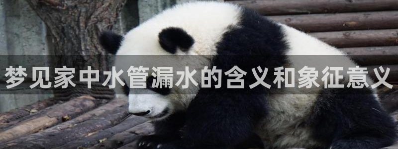 富邦娱乐平台最新公告