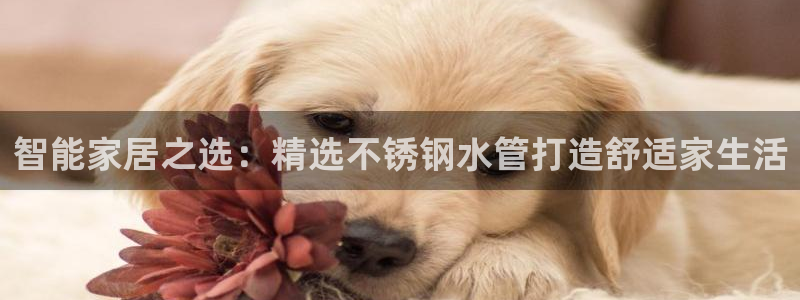 富邦娱乐