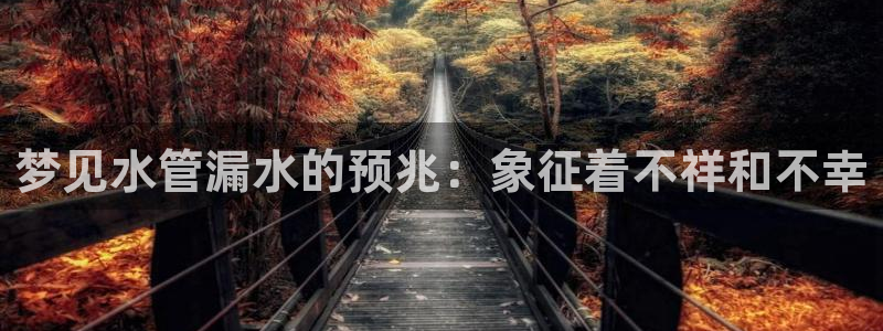 富邦体育娱乐