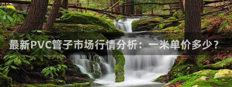富邦现场娱乐