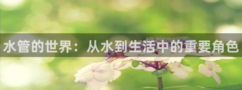 屏山富邦娱乐会所怎么样