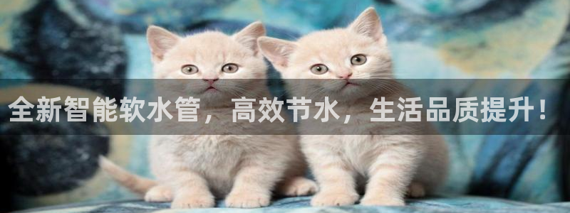 富邦娱乐 上鼎狐网
