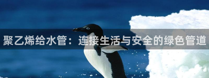 富邦娱乐登入