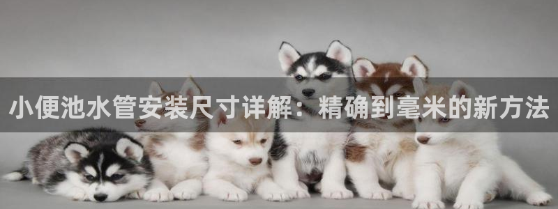 富邦翡翠娱乐怎么样啊