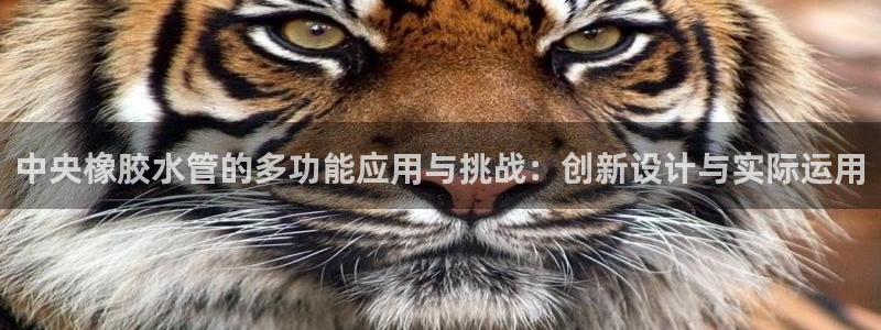 富邦网上娱乐