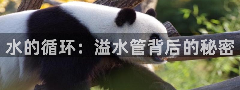 fub富邦娱乐线路检测