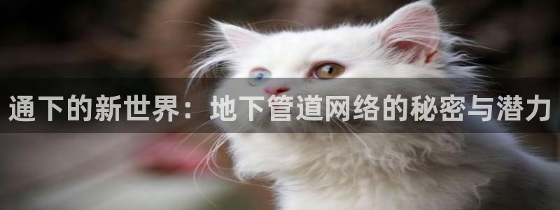 富邦娱乐平