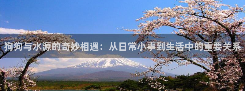 富邦老品牌娱乐城