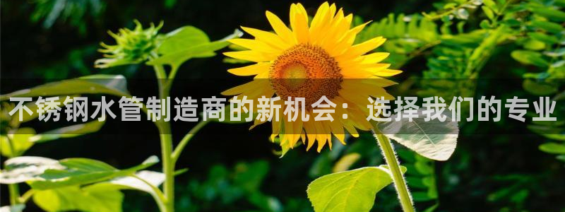 富邦娱乐团购活动时间