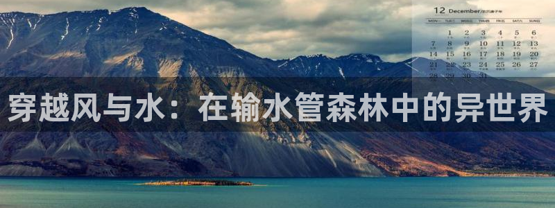 富邦娱乐城-皇恩a平台