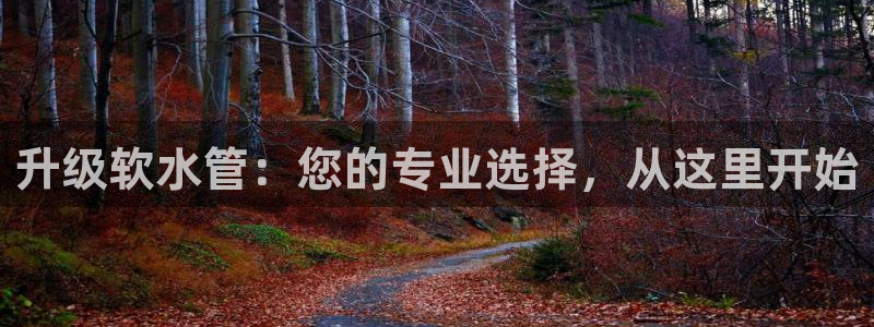 富邦娱乐-真博百楽