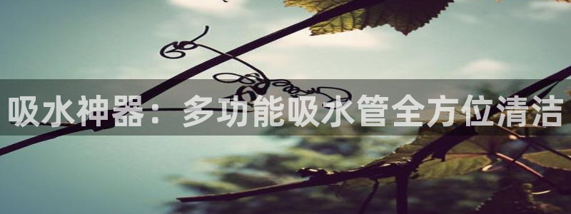 北仑富邦推荐娱乐项目