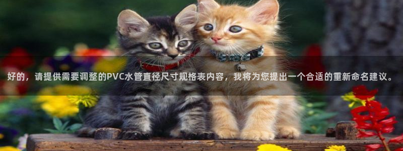 富邦娱乐有限公司