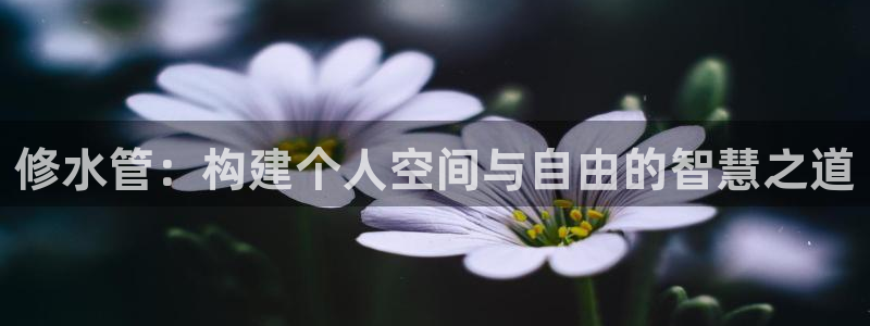 富邦酒店有娱乐场所吗