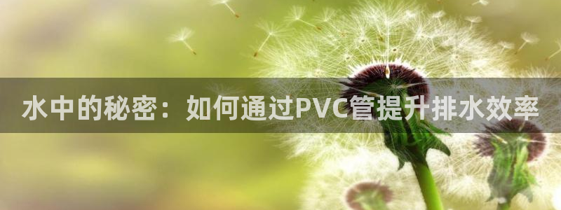 富邦娱乐官网-上全狐网