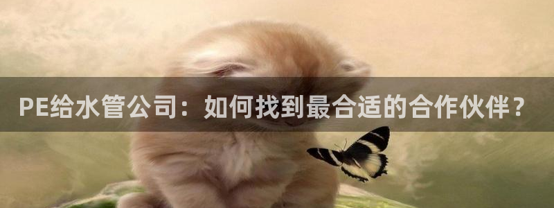 富邦娱乐