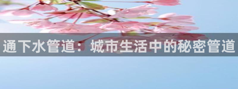 北仑富邦娱乐会所电话