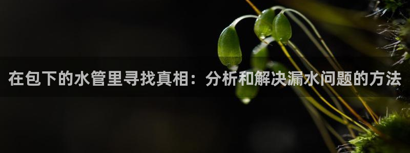 富邦酒店有娱乐场所嘛