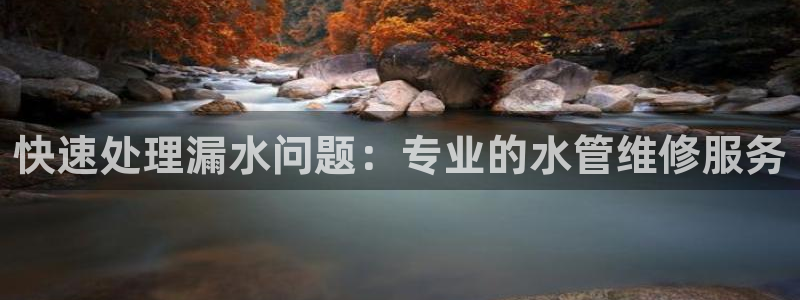 上海邦富娱乐有限公司