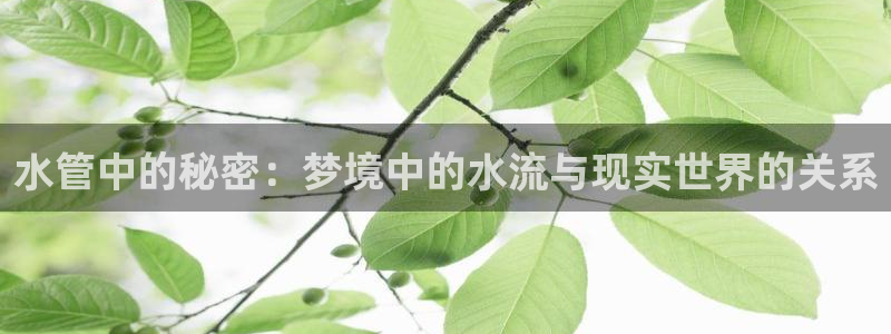 富邦娱乐城 皇恩靠谱