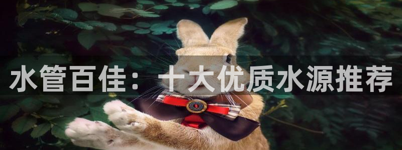 富邦娱乐计划
