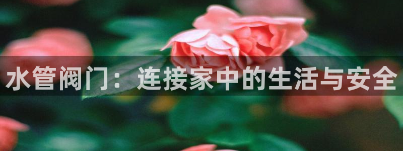 富邦娱乐靠谱不