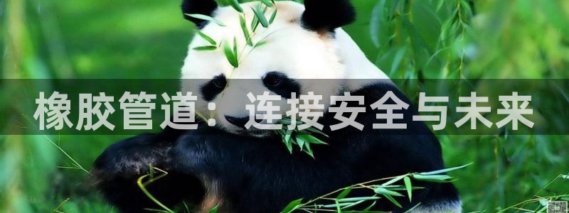 富邦娱乐首页