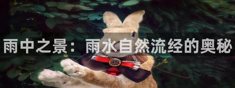 富邦天日娱乐有限公司