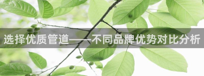 富邦娱乐平台-上全狐网