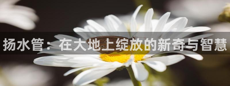 富邦娱乐彩票官网下载