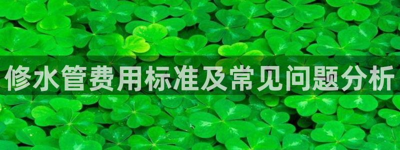 富邦娱乐线路检测