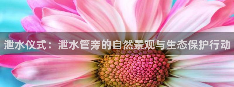 富邦娱乐平台-皇恩靠谱