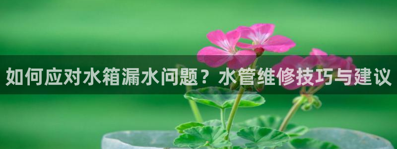 杭州富邦娱乐集团