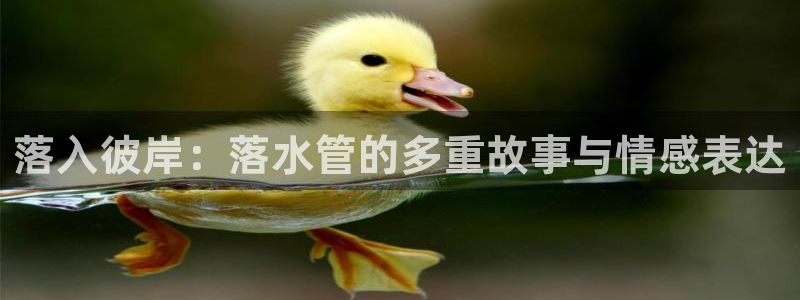 富邦娱乐开户 全礴网