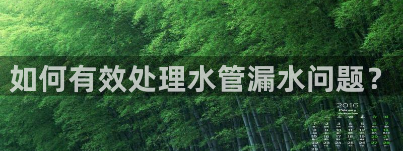 富邦娱乐网址是