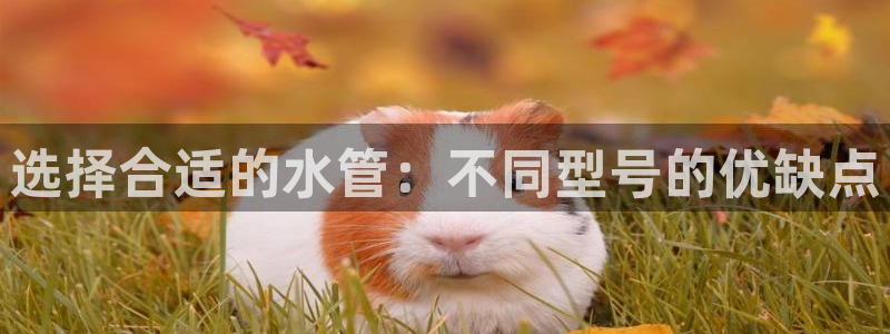 fub富邦娱乐线路检测