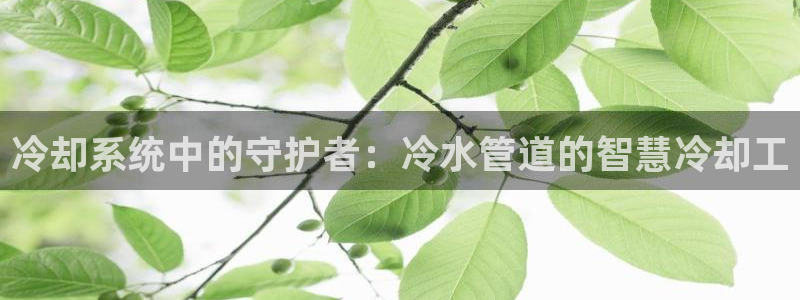 富邦娱乐网站登录