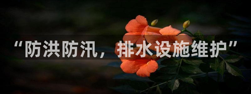 北仑富邦推荐娱乐项目