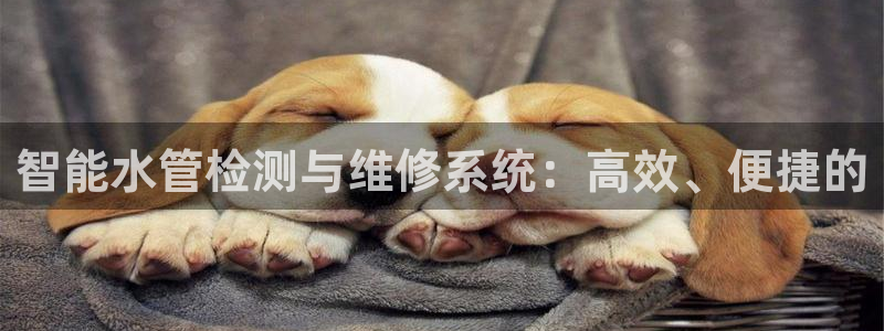 富邦娱乐团购怎么样啊