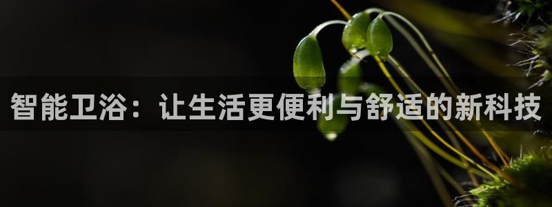 屏山富邦娱乐会所地址查询